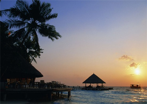 优鲜森火锅食材