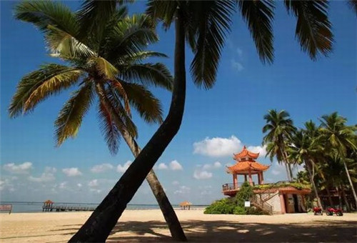 中年女包品牌排行榜