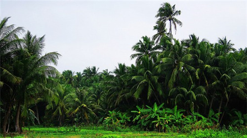 干漆木门加盟店排行榜，干漆木门加盟店排行榜前十