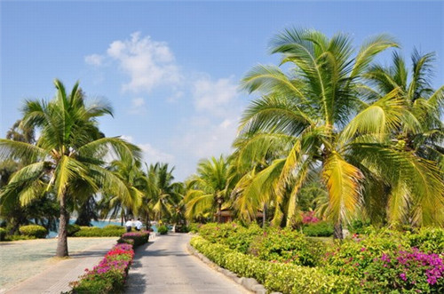 水浒传经典情节解析（水浒传经典情节归纳）
