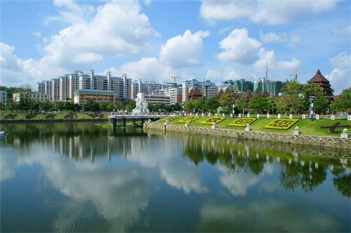 为什么散户成了十大股东（为什么大部分散户在股票中不赚钱）