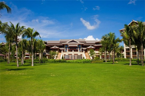 炒花菜炒豆芽怎么炒（炒花菜炒豆芽怎么炒好吃）