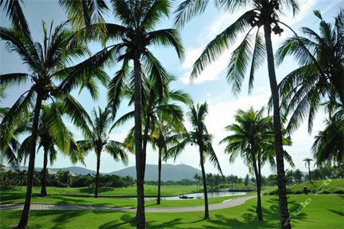 心中衡量着这份爱是什么歌（在心中的分量）