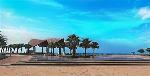 盐焗鸡炒土豆的做法（盐焗鸡炒盐要炒多少分钟）