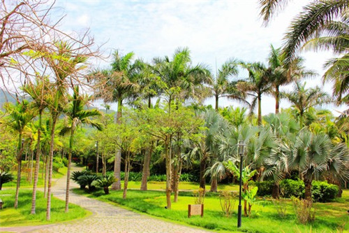 矮子雷手游难不难玩（矮子雷技巧）