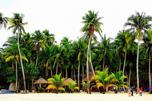 逆水寒手游音阶选择什么（逆水寒最懂音律）