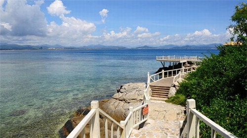 黑松最忌三种土（黑松最忌三种土质）