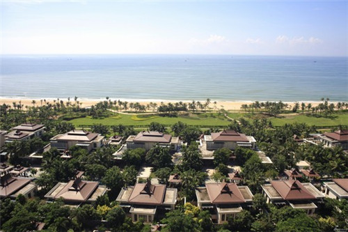 炒油菜面筋家常做法（油菜炒面筋球怎么做好吃）