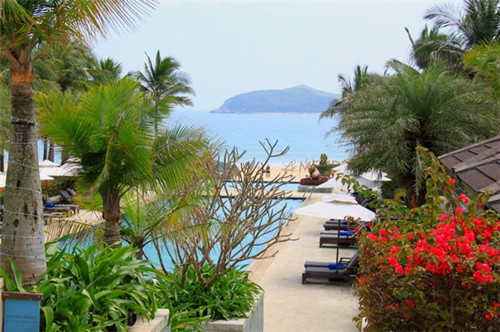 春节特制饮料有什么（春节饮料有哪些）